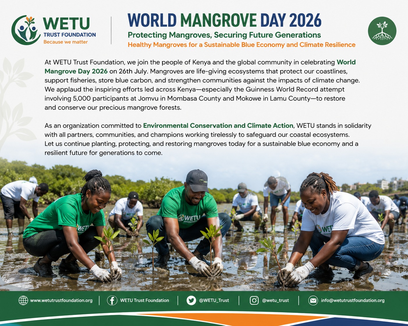 Mangrove Restoration Campaign Launches in Coastal Kenya